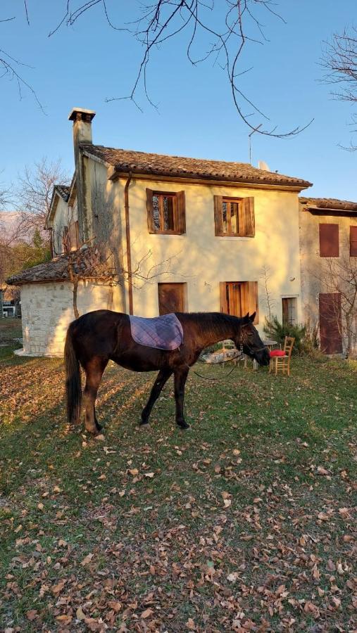 La Caneveta Al Piave Villa Valdobbiadene Dış mekan fotoğraf