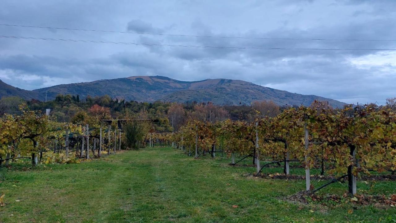 La Caneveta Al Piave Villa Valdobbiadene Dış mekan fotoğraf