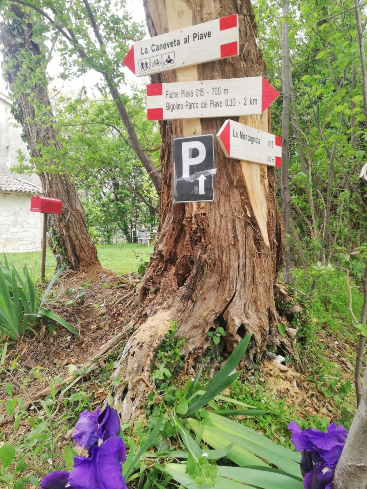 La Caneveta Al Piave Villa Valdobbiadene Dış mekan fotoğraf